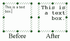 图T5.8  Formatting a Text Box (格式化文本框)